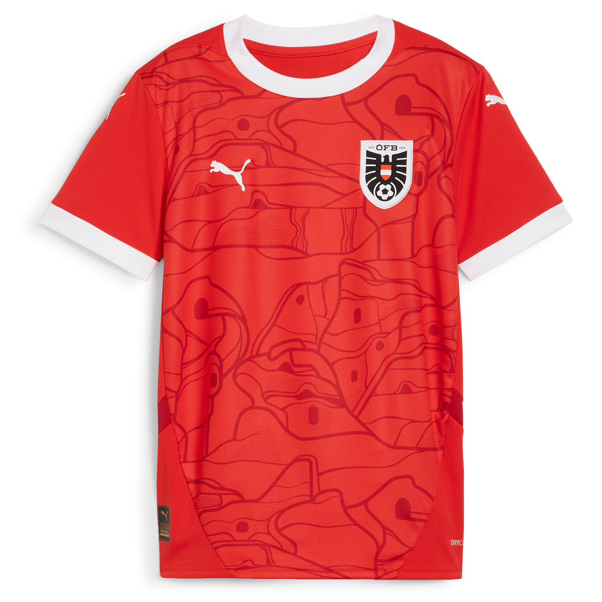 Austria Puma Home Shirt 2024 - Kids